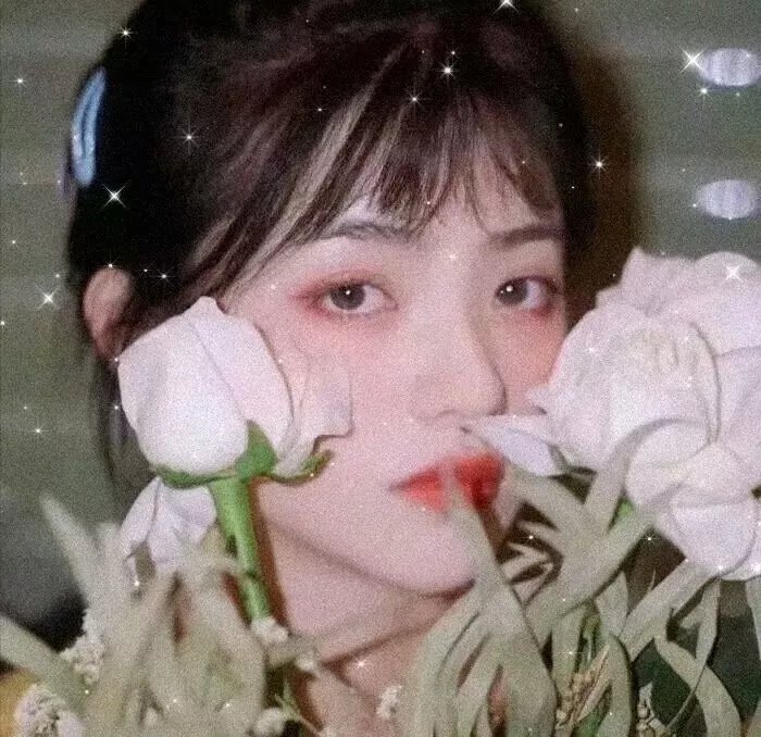 艳探莉莉